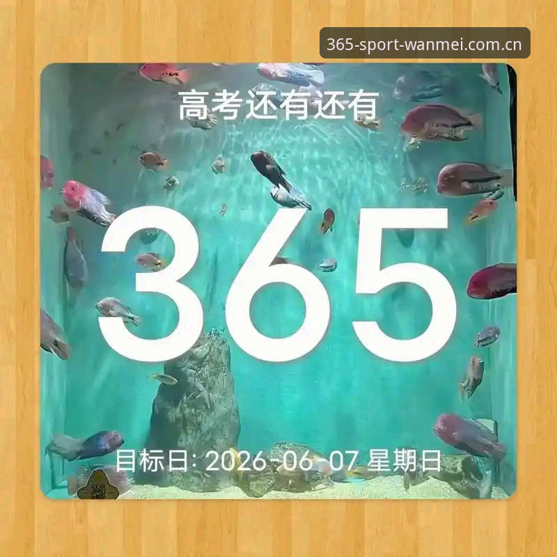 2026完美体育365实时数据最新动态：探索运动体验的突破性变革
